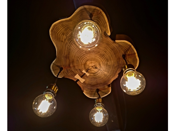 Lampa loftowa z plastra robinii akacjowej