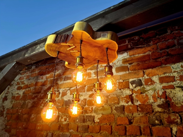 Loftowa lampa sufitowa pięć oprawek z robinii akacjowej