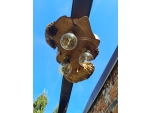 Unikatowa lampa sufitowa z plastra robinii akacjowej z czeczotą