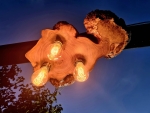 Unikatowa lampa sufitowa z plastra robinii akacjowej z czeczotą