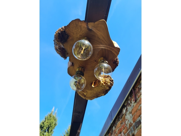 Unikatowa lampa sufitowa z plastra robinii akacjowej z czeczotą
