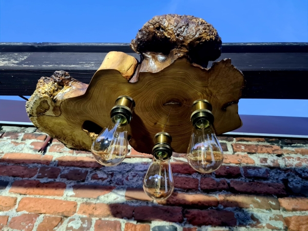 Unikatowa lampa sufitowa z plastra robinii akacjowej z czeczotą